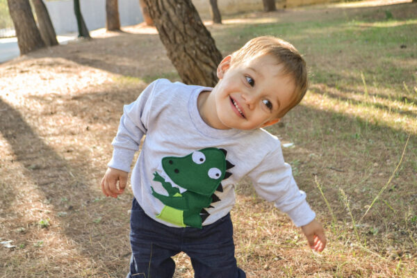 Dinosaur birthday, dinosaur for toddler, green dinosaur, dinosaur party, baby boy dinosaur, dino shirt, dino applique, personalized shirt