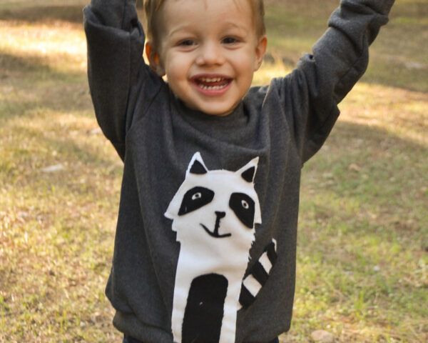 Raccoon sweatshirt Raccoon Applique clothes Dark grey shirt Boy's sweater Toddler's boy gift ideas Back to school shirt Personalized shirt