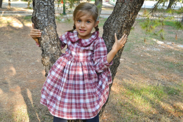 Peter pan collar Checked red and white Vintage style Long sleeve dress Toddler dress Party dress Winter dress Retro dress Red plaid dress